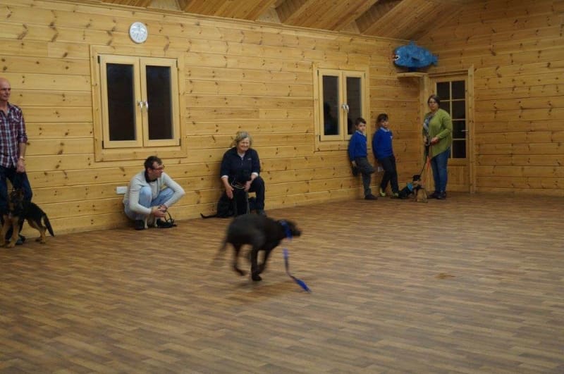 crestadogclub.seesite.biz_--_182963354