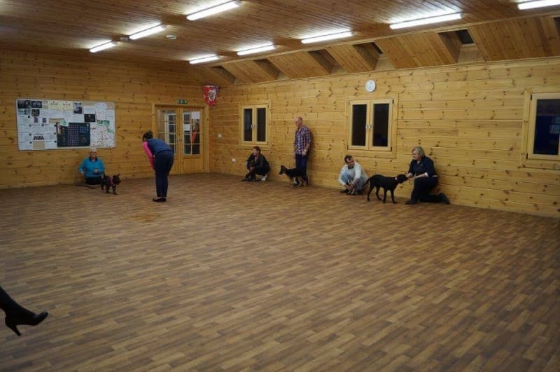 crestadogclub.seesite.biz_--_436389340