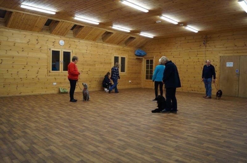 crestadogclub.seesite.biz_--_583933703