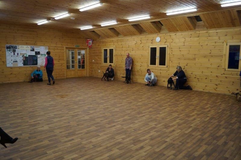 crestadogclub.seesite.biz_--_748807975