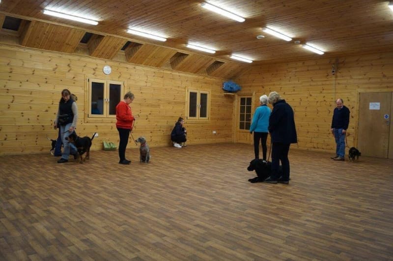 crestadogclub.seesite.biz_--_806138094