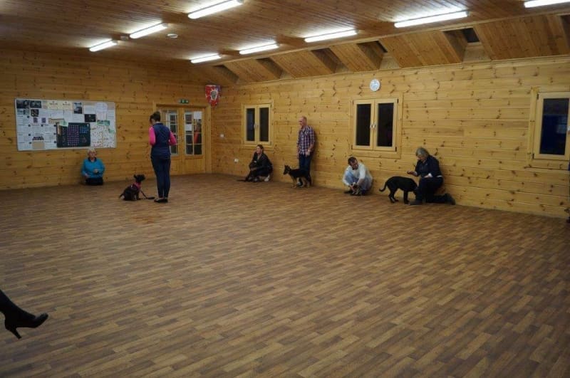 crestadogclub.seesite.biz_--_886124725